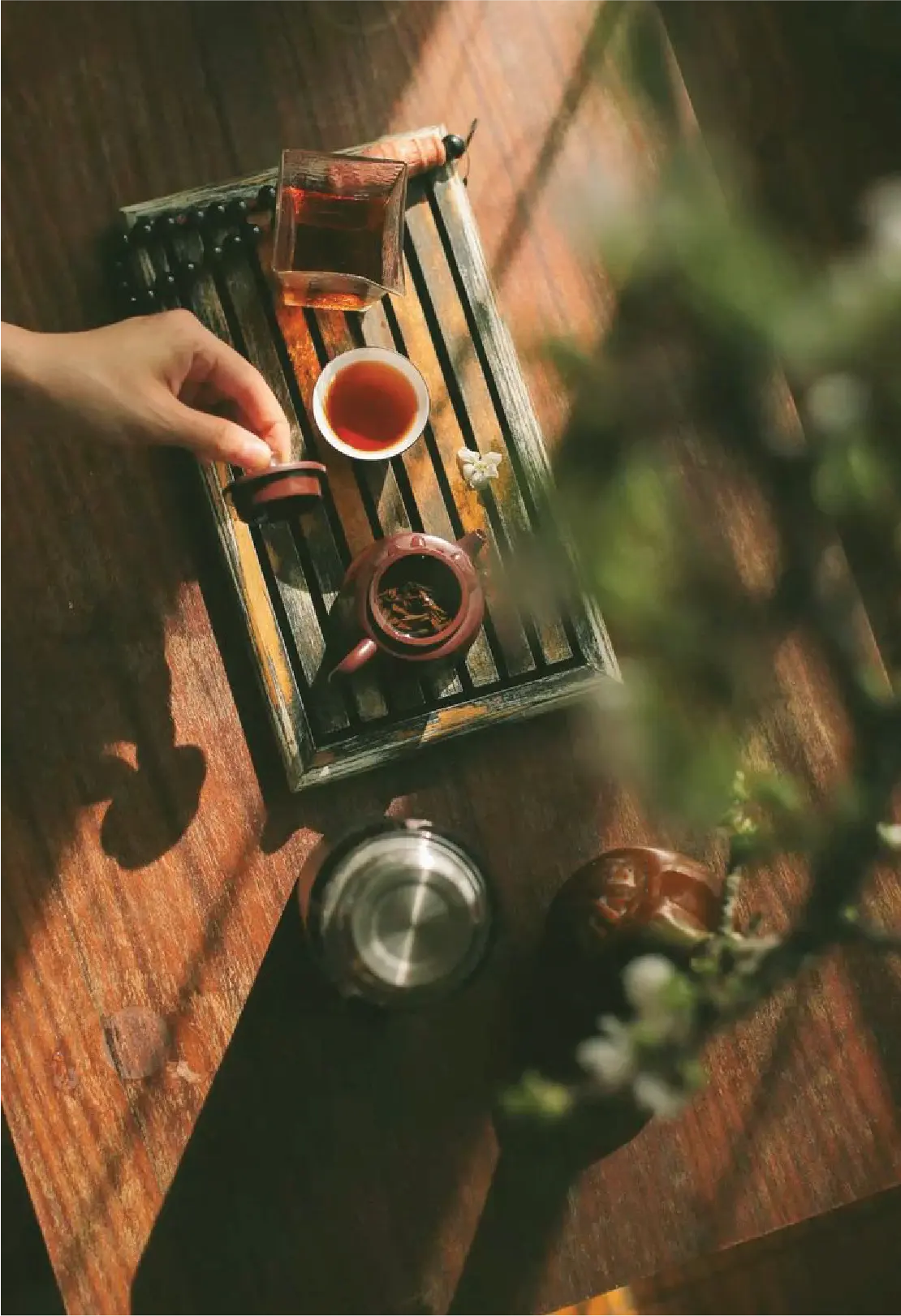 Immersive Experience